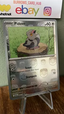 Pidove 071/086 (Masterball Pattern) Pokemon TCG Black Bolt NM/M - Image 2
