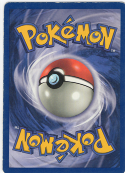 Pokemon - Cubone - 50/64 - Common - 1st Edition - Jungle - LP - NM 1999 WoTC - Image 2