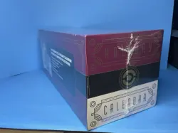 Pokemon TCG 2025 Holiday Advent Calendar (6 Packs, 6 Promos, 7 Fun Packs) NEW - Image 4