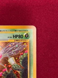 Pokemon TCG - Japanese Beedrill Holo - No.015 - Crossing the Ruins - LP - Image 3