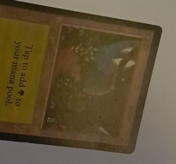 Forest MP MTG Magic the Gathering Beta Basic Land (B) - Image 3