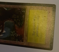 Forest MP MTG Magic the Gathering Beta Basic Land (B) - Image 4