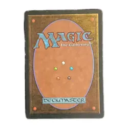 Silver Signed Mesa Pegasus MTG LP Vintage Artist Melissa Benson - Image 2