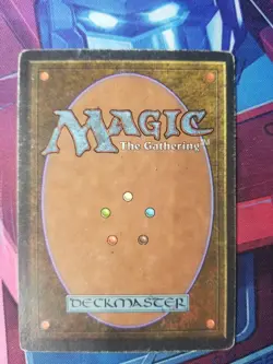 Raging River (Unlimited) LP vintage MTG - Image 2