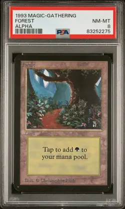 Forest - Alpha - MTG - Near to Mint - PSA 8. More Vintage MTG in my store. - Image 1
