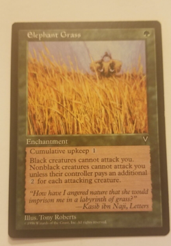 Elephant Grass - Visions LP - Image 1