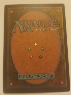 Elephant Grass - Visions LP - Image 2