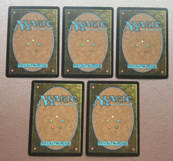 Euro lands from the purple pack MTG Magic the gathering - Image 2