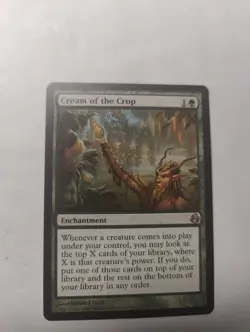 Cream of the Crop Morningtide Regular - Image 1