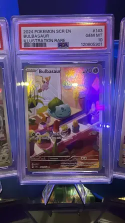 Pokemon TCG Bulbasaur Stellar Crown Illustration Holo Card 143/142 PSA 10 - Image 1