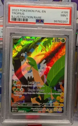 Tropius 195/193 Sv02: Paldea Evolved Holo Pokemon Card Graded PSA 9 Mint - Image 2