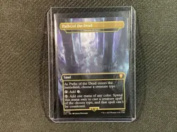 Paths of the Dead - Cavern of Souls - LTC MTG LOTR - Image 2