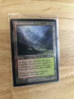MTG - Wooded Foothills - (Foil Retro Frame) - 441 - Modern Horizons 3 - Image 1