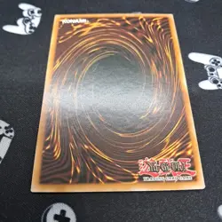 Red-Eyes B. Dragon SDDC-EN005 Unlimited NM Near Mint Yu-Gi-Oh! Card - Image 5