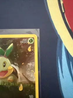 Pokemon TCG Turtwig Crown Zenith: Galarian Gallery Holo Rare Card GG31/GG70 LP - Image 4