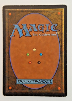 MTG Sylvan Libray - Fourth Edition 1995 (MP) - Image 2