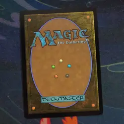 MTG Path To Exile 0004 (Borderless Foil) [Marvels Spider-Man Near Mint] - Image 2