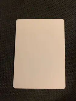 MTG Magic Leonin Relic-Warder Signed Artist Proof x1 Mirrodin Besieged G Staples - Image 2