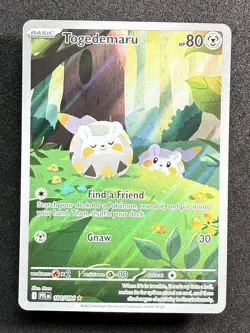 Togedemaru 104/094 - Pokemon Trading Card Game Mega Evolution: Phantasmal Flames - Image 1