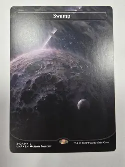 Swamp (242) (Borderless) Unfinity Regular Magic The Gathering Mtg - Image 1