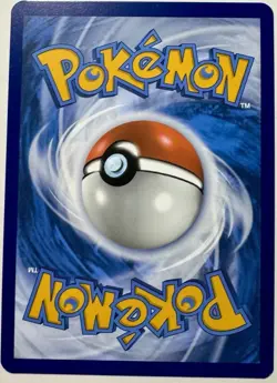 Wailord 162/159 Pokemon Trading Card Game Sv09: Journey Together Holo NM - Image 2