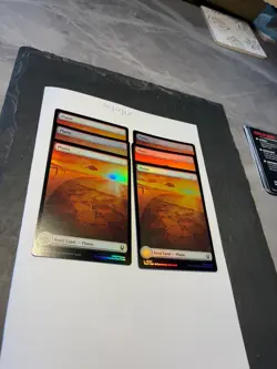 Magic the Gathering MTG Plains Full Art x6 Land FOIL Cards NM/M Avatar - Image 2
