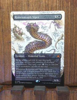 1x SHOWCASE Rottenmouth Viper, NM, Bloomburrow (BLB), Magic the Gathering MtG wh - Image 3