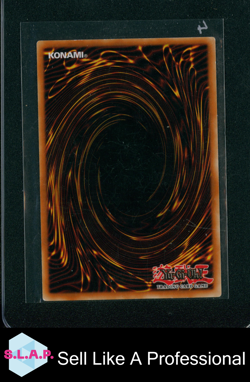 TOPF DER GIER YU-GI-OH! DPKB-DE029 2010 DUELIST PACK KAIBA 1. AUFLAGE GERMAN - Image 2