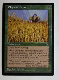 Elephant Grass The List Reprints Regular - Image 1