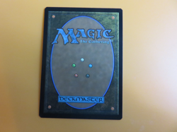 MTG Rishadan Port, Masters 25 NM - Image 2