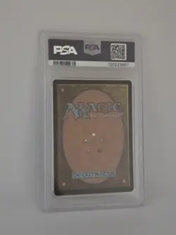 Magic The Gathering BLOOMBURROW BORDERLESS FOIL THREE TREE CITY PSA 10 * Read * - Image 5