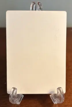 MTG Forsaken Wastes Signed Kev Walker Artist Proof AP Mirage Magic The Gathering - Image 2