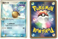 Wartortle Uncommon Pokemon TCG Miracle Crystal 019/075 MP - Image 3