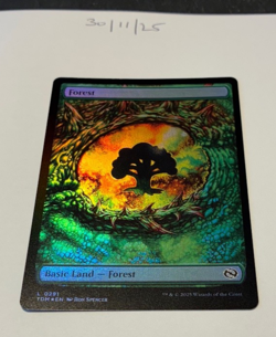 Magic the Gathering MTG Forest Full Art x1 Land Dragon's Eye FOIL Card NM/M - Image 1
