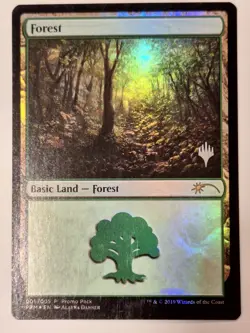 Forest - Promo Pack 2020 - Magic the Gathering MTG Nice! - Image 1