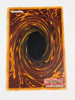 Yugioh Black Rose Dragon CT05-EN003 Secret Rare Promo LP - Image 3