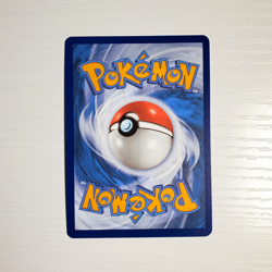 Lileep Holofoil 145/142 Stellar Crown Illustration Rare Pokemon Card NEAR MINT N - Image 4
