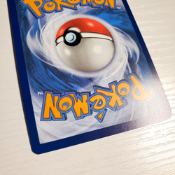 Lileep Holofoil 145/142 Stellar Crown Illustration Rare Pokemon Card NEAR MINT N - Image 5