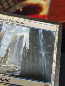 MTG Hallowed Fountain Normal Return to Ravnica # 241 HP - Image 2