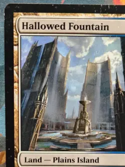 MTG Hallowed Fountain Normal Return to Ravnica # 241 HP - Image 3