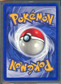 Pokemon Cards - 1st Edition Shadowless Wartortle 42/102 - Base Set - Image 2