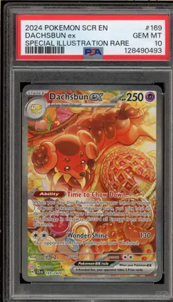 Pokemon Dachsbun ex Stellar Crown Special Illustration Rare #169 PSA 10 Gem Mint - Image 1