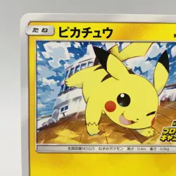 Pokemon Cards Pikachu 125/S-P Pika Pika Promo Card Campaign NM Japanese i277 - Image 3