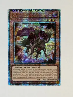 Yugioh MISPRINT ERROR Name Shift Red Rose Dragon MP25-EN037 Starlight Rare NM - Image 1