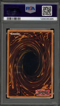 Yu-Gi-Oh! Darklord Zerato Phantom Darkness 1st Ed Secret Rare PTDN-EN081 PSA 9 - Image 2