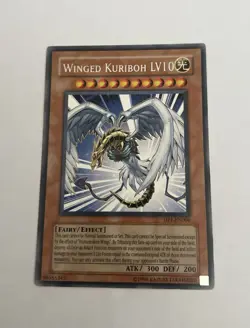 Yugioh Winged Kuriboh LV10 Unlimited Rare DP1-EN006 NM Unplayed - Image 5