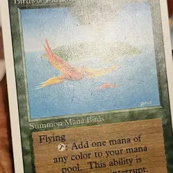 Magic the Gathering ~ MTG ~ 1x Birds of Paradise ~ MP ~ REVISED - Image 2