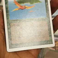 Magic the Gathering ~ MTG ~ 1x Birds of Paradise ~ MP ~ REVISED - Image 3