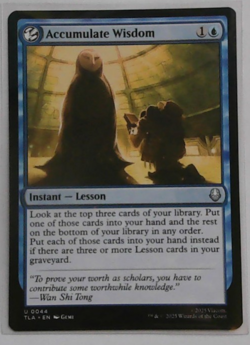 Accumulate Wisdom Avatar MTG - Image 1