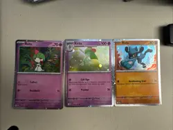 Pokemon TCG Kirlia, Ralts , Riolu Promo Cards Collector Chest 2025 - Image 1